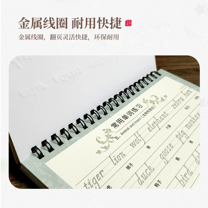 Бесплатная подарочная ручка вогнутая английская Волшебная книга для Обучения