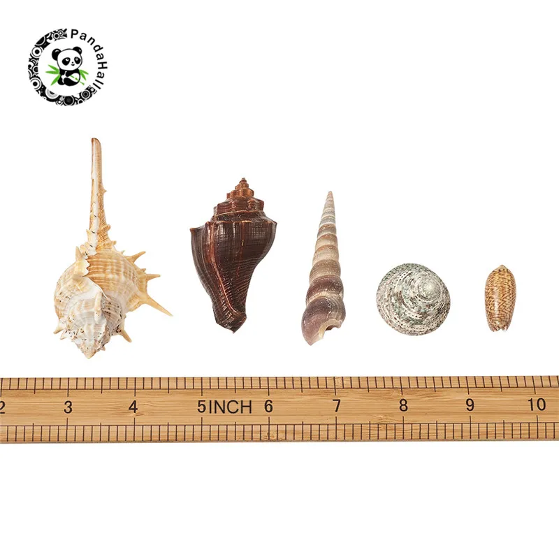 

pandahall 1Box Natural Shell Beads for Jewelry Bracelet Necklace Making Mixed Shapes Undrilled/No Hole Beads 7.5~105x3~70x3~40mm