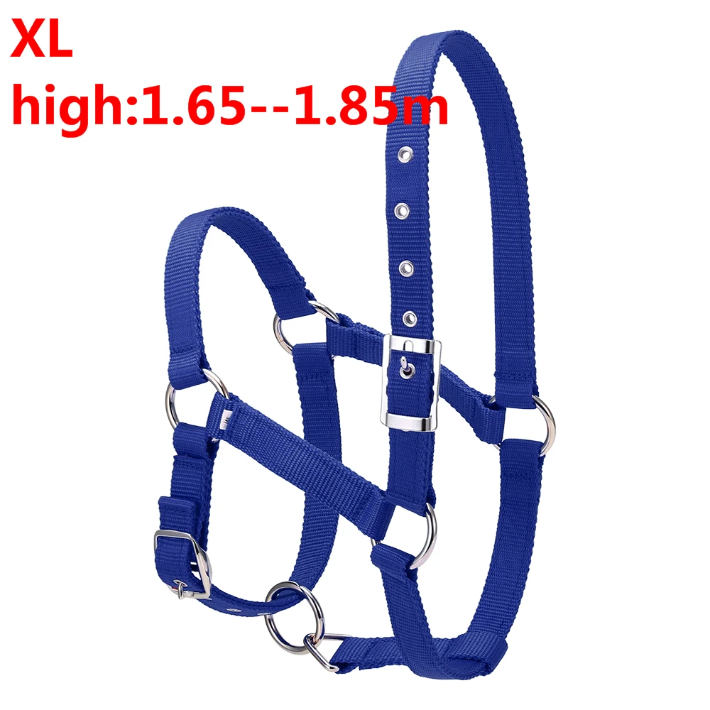 blue XL S/M/L 6 мм утолщенный ошейник для головы лошади, регулируемый безопасный ошейник с завязкой на шее, ошейник для верховой езды, оборудование для гонок, тренировочная веревка, горячая распродажа - Цвет: blue XL