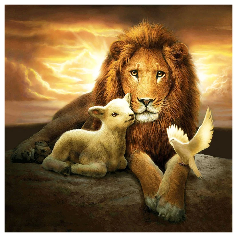 

5D DIY полная круглая/квадратная фотография, 3D вышивка ягненка и голубь, стразы, мозаика, домашний декор Y1320