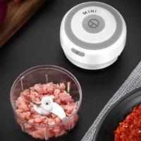 100250ml electric chopper kitchen garlic masher meat grinder mini food vegetable chili crusher rechargeable food processor w0