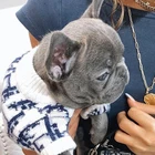 Новинка 2022, осенне-зимний свитер для собак, мягкая и удобная ткань, Французские бульдоги, корги, чихуахуа, одежда для домашних животных, одежда для собак