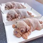 1 шт 9 силикона такса щенок формы шоколада для приготовления печенья собака Шарпей эскимо плесень Мороженое Желе Пудинг Fondant (сахарная) инструмент Декор