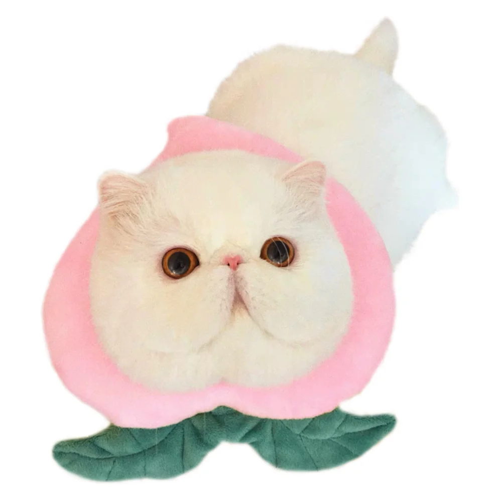 Аксессуары для домашних животных ошейник кошек персонализированный