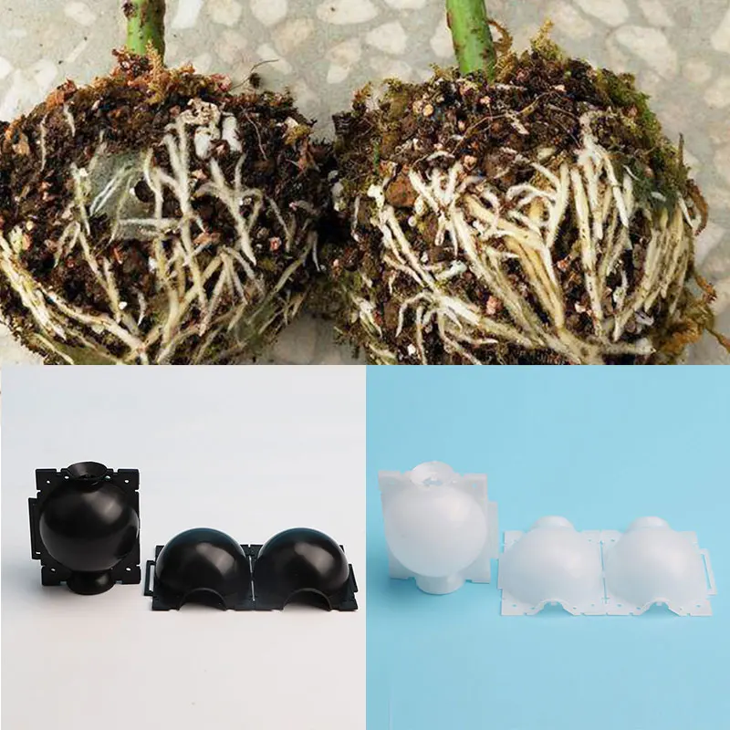

Grafting Rooting Box Plant Rooting Ball Breeding Case Propagation Ball Flower Container Nursery Box Plant Box Garden Pouch Root