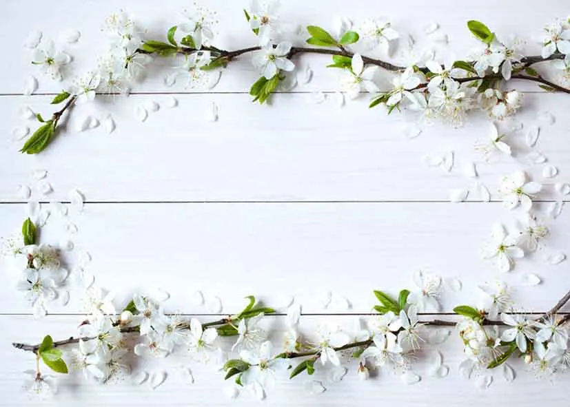 

SHENGYONGBAO Vinyl Custom Photography Backdrops Prop Flower Wood Planks Christmas day Theme Photo Studio Background DRS-42589