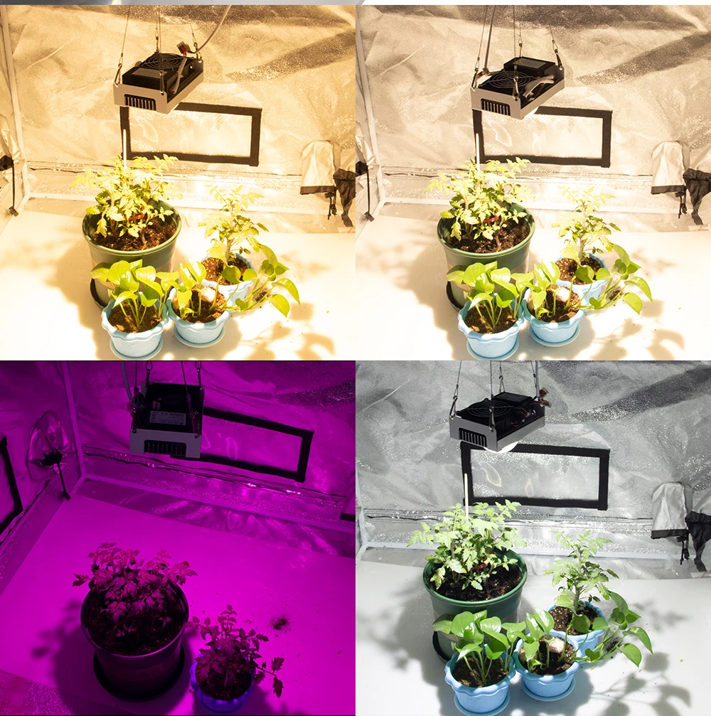 CF GROW COB светодиодный светильник для выращивания полного спектра CXB Series100W Citizen светодиодный светильник для выращивания растений для комнатной палатки теплицы гидропоники