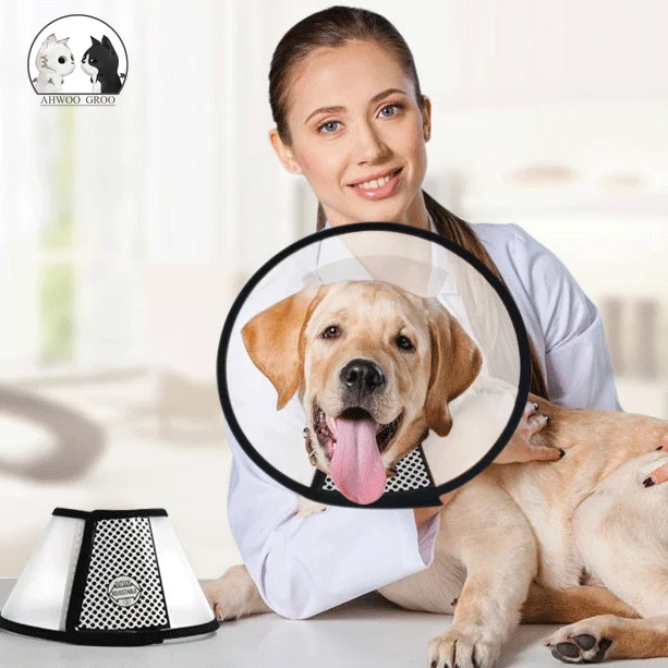 Прозрачный защитный ошейник для собак с конусом предотвращения укусов и кошек