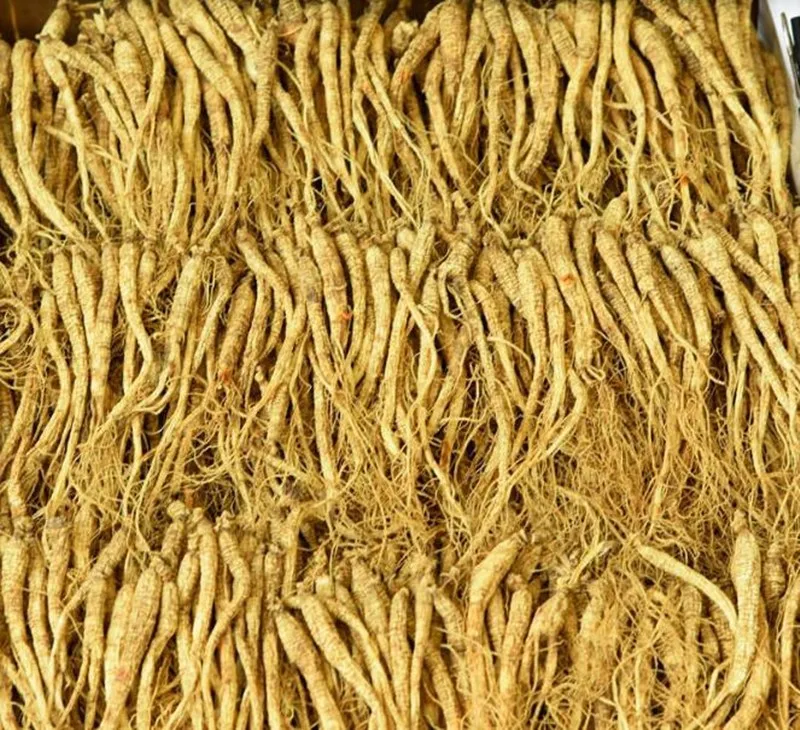 500g 5-6Year сухой экстракт женьшеня Чанбайшань дикого женьшеневый чай пивоварение