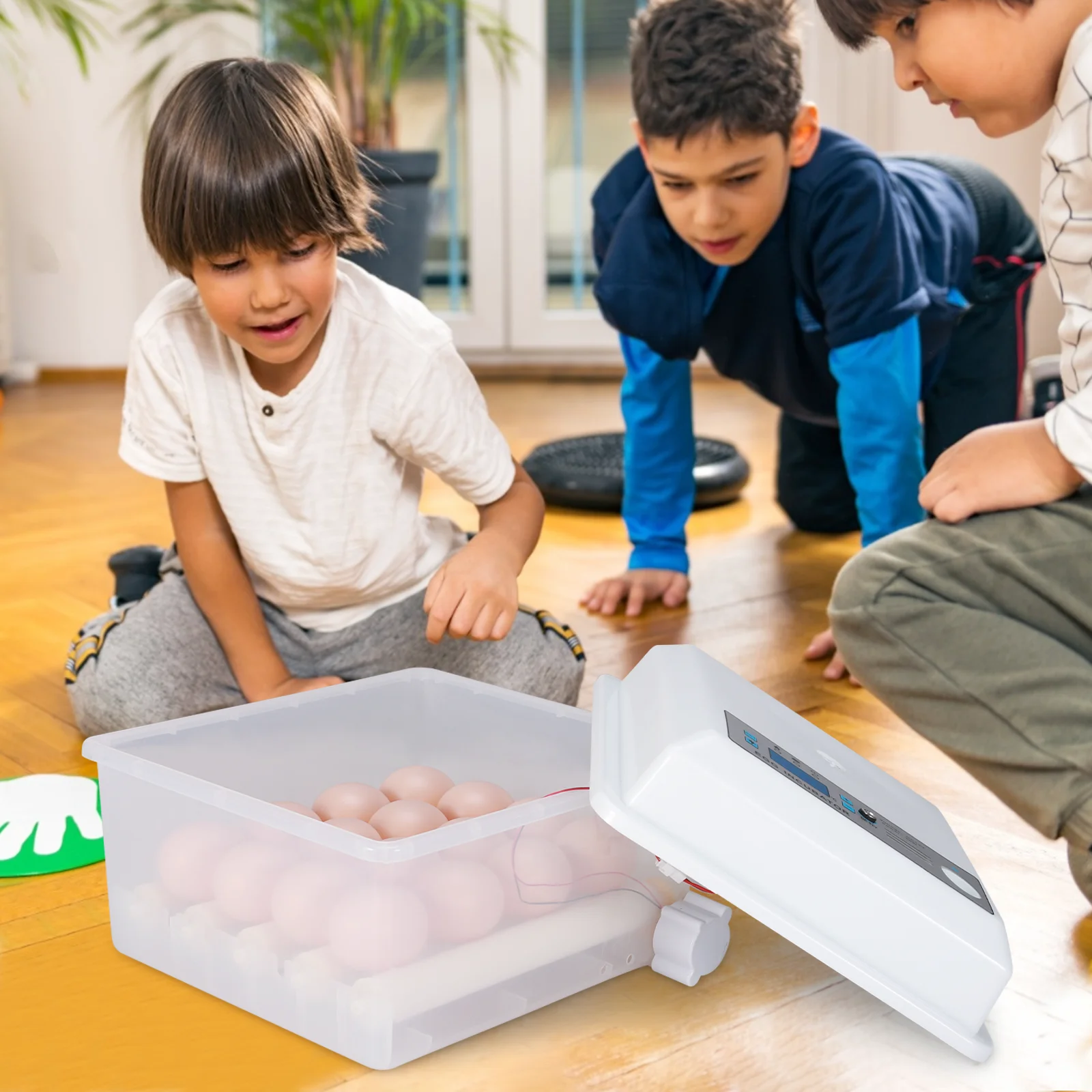 

Eggs Incubator 16 Eggs Digita Mini Automatie Incubatores with Turner for Hatching Turkey Goose Quail Chicken Egg Hatcher Machine