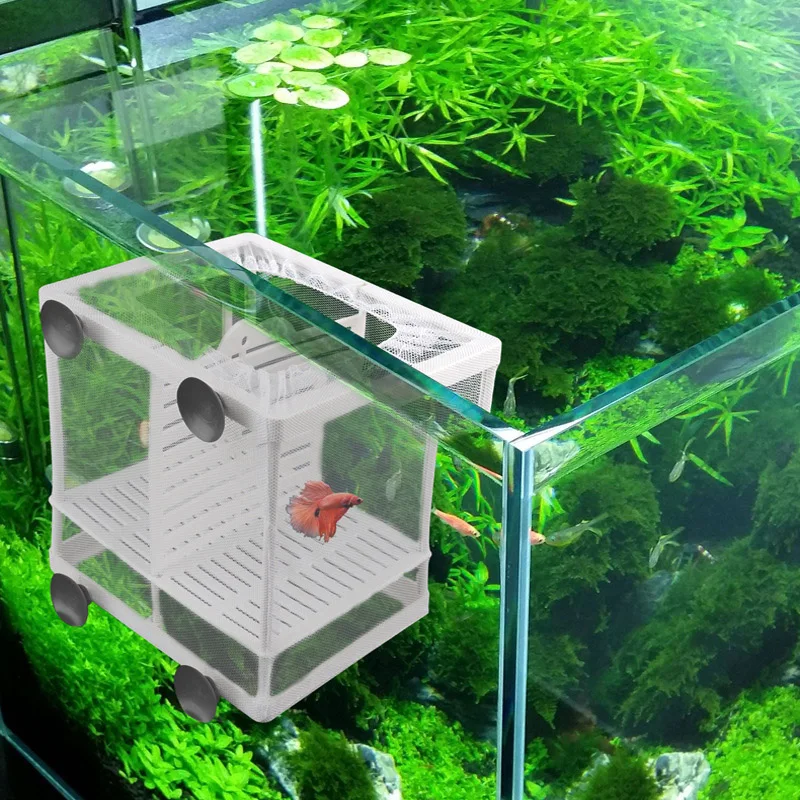 Изоляционная сетка для аквариума подвесной контейнер инкубатора принадлежности