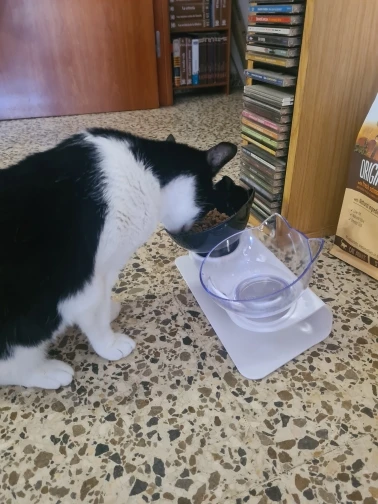 Кормушки для собак миска кормления кошек нескользящая двойная домашних животных