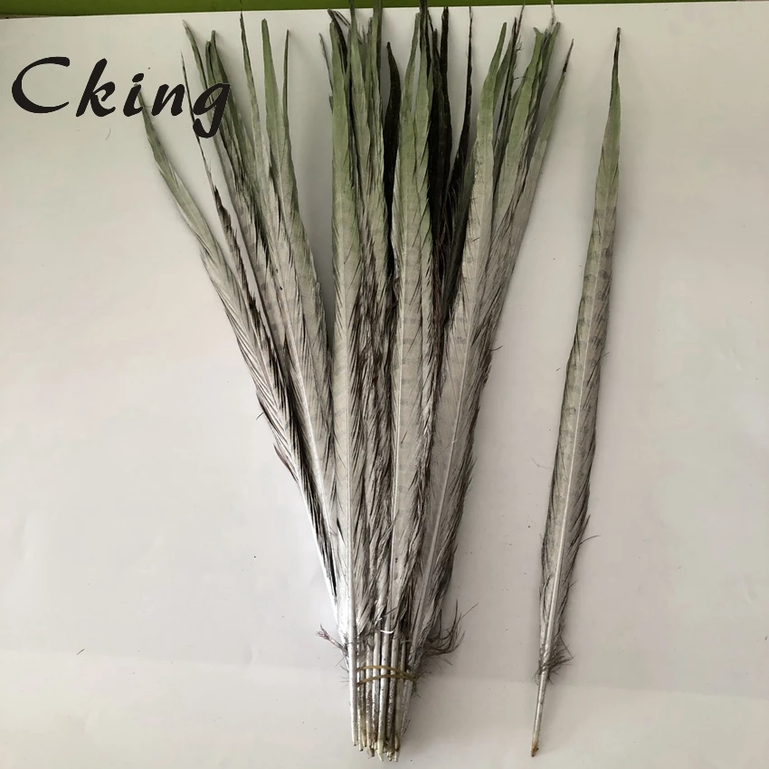 Silver Painr Ringneck Pheasasnt Feathers 60-65CM 24-26 Inches Long Lady amherst Pheasant Tails Plumes For Brazil Carnival Decor.