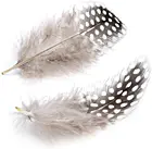 100 шт., натуральные перья птицы, 5-8 см