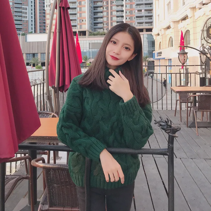 

Fashion Women Thick Sweaters Female Warm Knitted Soft Pullovers Long Sleeve Lady Outerwear High Neck Clothes Fall Winter Jumper