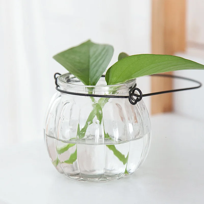 Стеклянная ваза оригинальность культура воды Botany Бутылка Тыква прозрачные