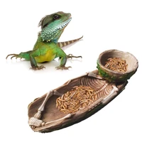 skeleton reptile food bowl amphibian pet cage rock decoration water injection humidification function bearded dragon tank