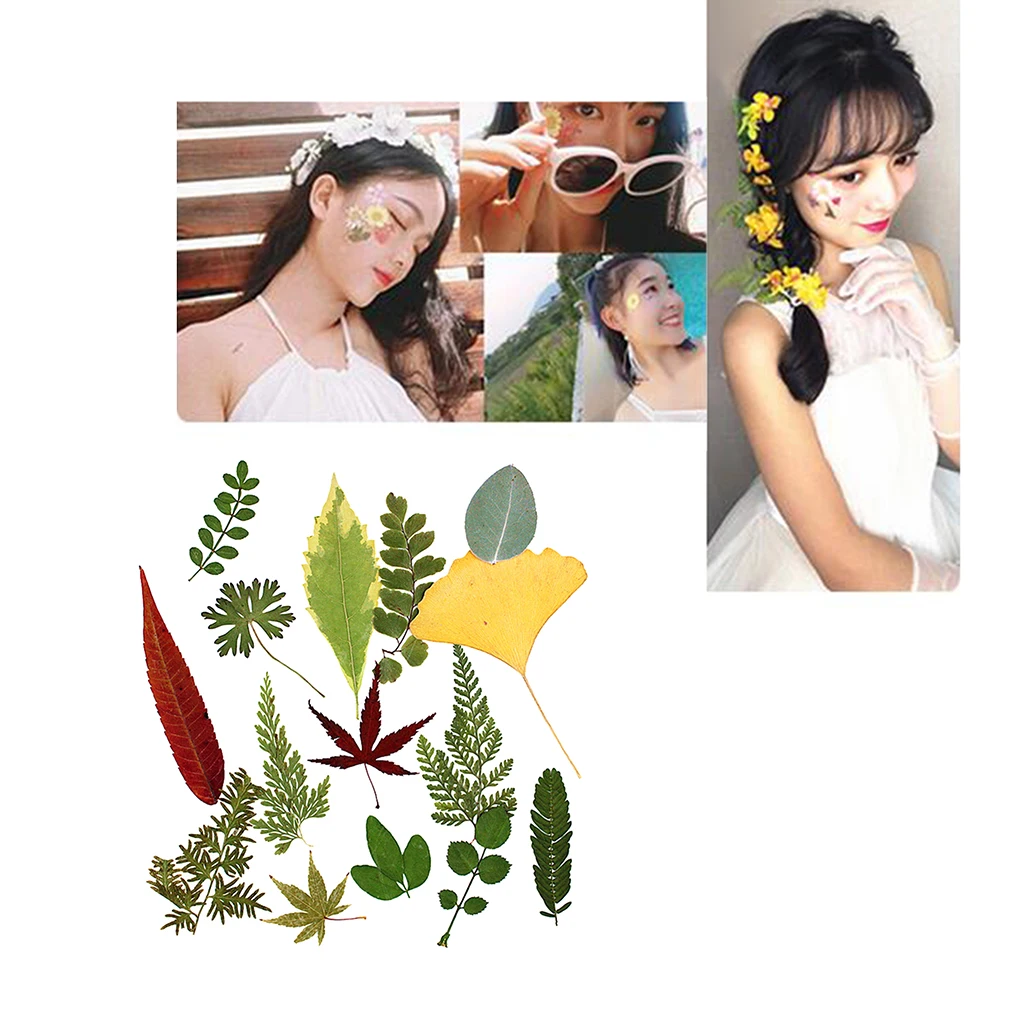 15 шт. натуральный прессованный высушенный цветок листья папоротника для DIY