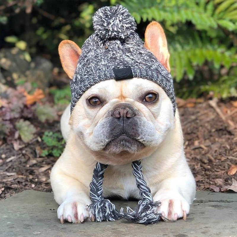 

Windproof Knitted Dog Hat Warm Fluffy Ball Hat for French Bulldog ChihuahuaPuppy Winter Cap Cat Dog Supplies Pet Dog Accessories