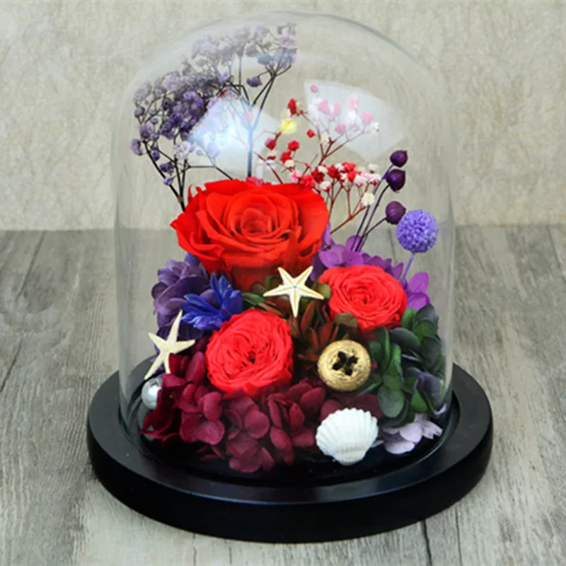 

20*20cm Black Base Glass Dome Vase Home Decoration Diameter=20cm Height=20cm Glass Cover DIY Friend Gift Wedding Favor Gift