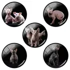 TAFREE 12 мм15 мм16 мм18 мм20 мм25 мм Канадское безволокнистое стекло для рукоделия купол Ювелирная фурнитура CA209