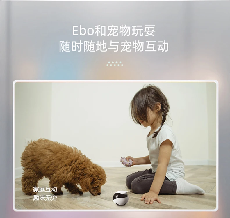 Ebo SE Catpal The Smart Robot Companion for Your Cat | Электроника
