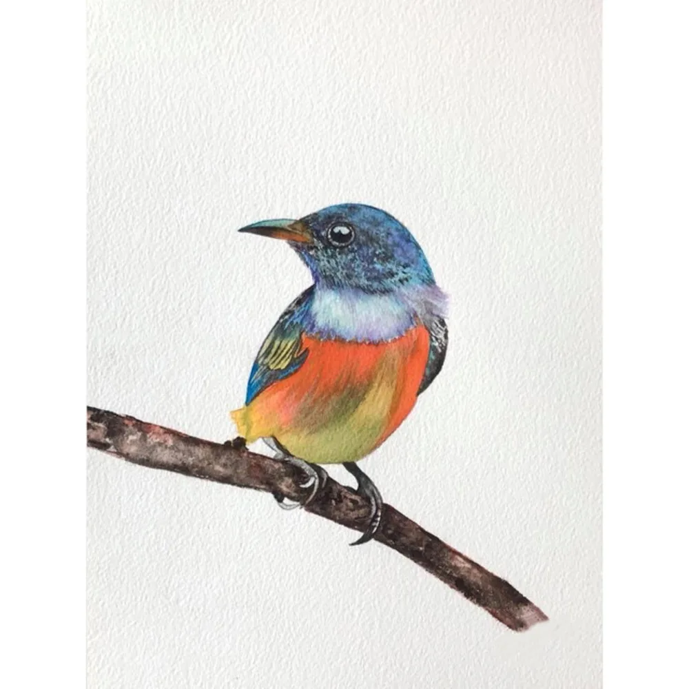 

«Птицы» Сделай Сам Вышивка крестом 11CT Наборы для вышивания Рукоделие Ремесло Набор с напечатаным холстом хлопчатобумажные нитки украшения...