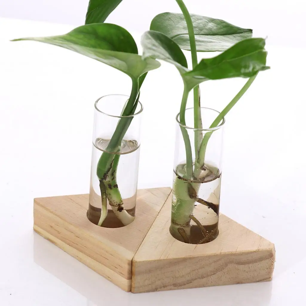 Стеклянная пробирка ваза в деревянной подставке цветочные горшки для