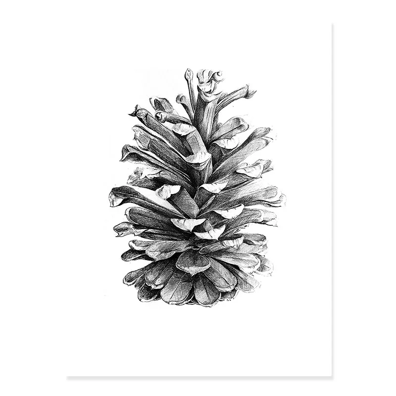 

Черно-белый эскиз сосновой шишки, Sure Life Style Nordic