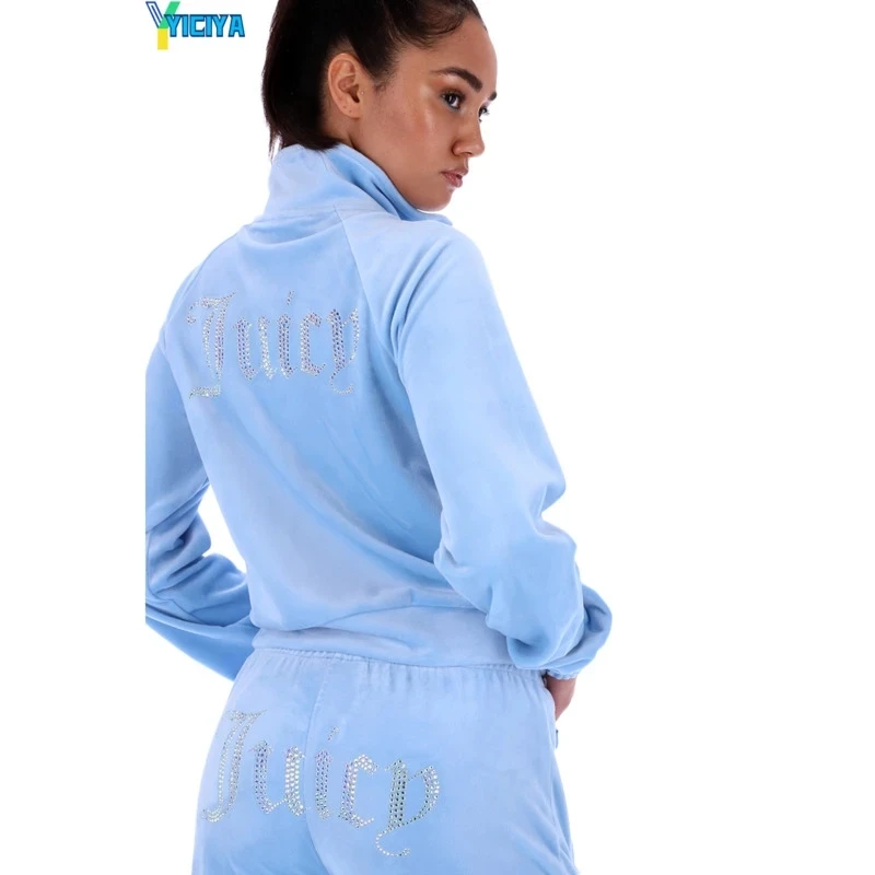 

velvet zipper sweatshirt and pants 2021 women cashmere Solid velvet suit two piece set tracksuit women Hoodies velour pants suit