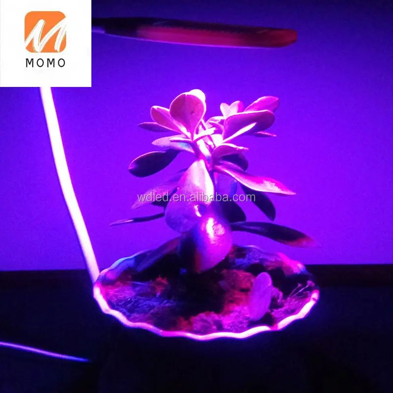 

home growers led grow lights 3-6W newstar sunshine model led grow light