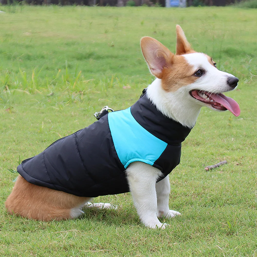 

Зимняя женская двухсторонняя куртка для собак, 3-слойная толстая одежда для домашних животных
