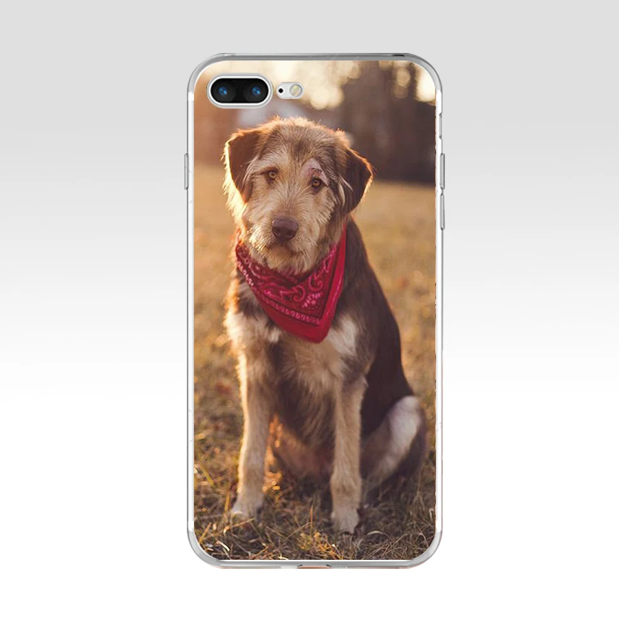 Силиконовый чехол 049FG Brushwood Doge Сиба ину Inu с забавной собакой мягкий ТПУ для Apple