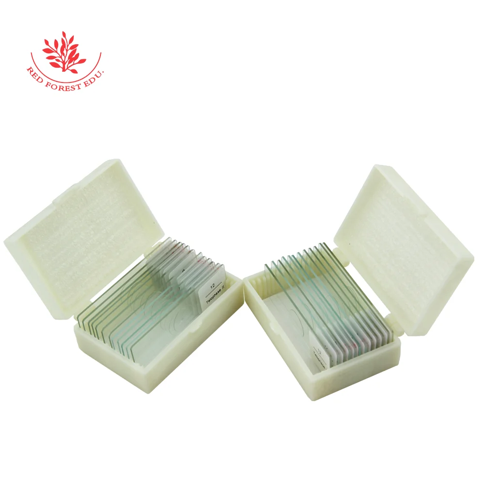 Слайды подготовленные для микроскопа Митоз и миоз растений с образцами обучения