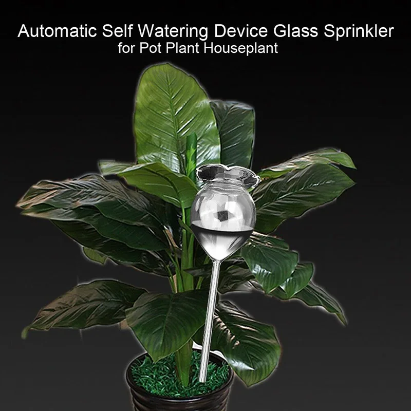 Самополивающийся шар растение цветок водяные лампочки в форме животного