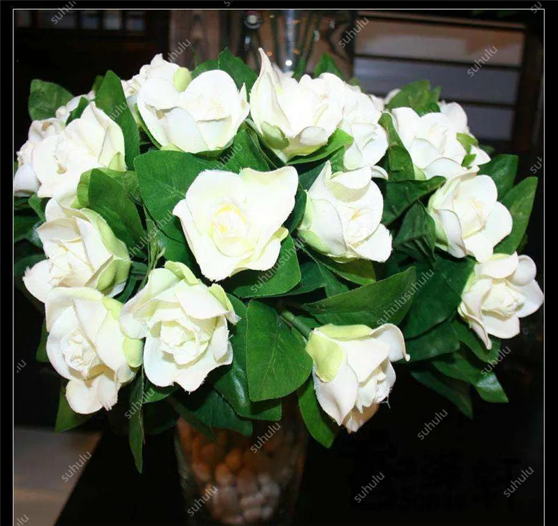 100 шт Искусственный Жасмин | Дом и сад