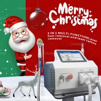2 in 1 professional 808 nm diode hair removal device painless nd yag laser q switch tattoo removal machine2020
