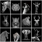 EverShine картины по номерам животные расскраски по номерам зебра Ручной росписью декор для дома