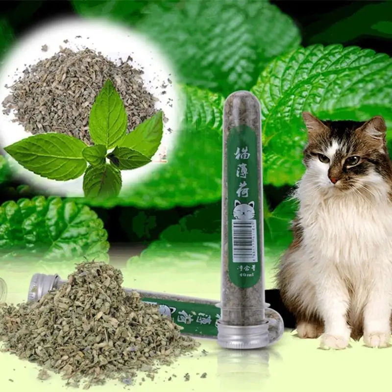 

40ml Cat Supplies Toys Cat Treat Menthol Flavor 1PC Natural Catnip Debris