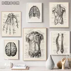 Плакат по анатомии человека, медицинская Настенная картина, плакат скелета мышц, скандинавский плакат на холсте, обучение, живопись, современный декор