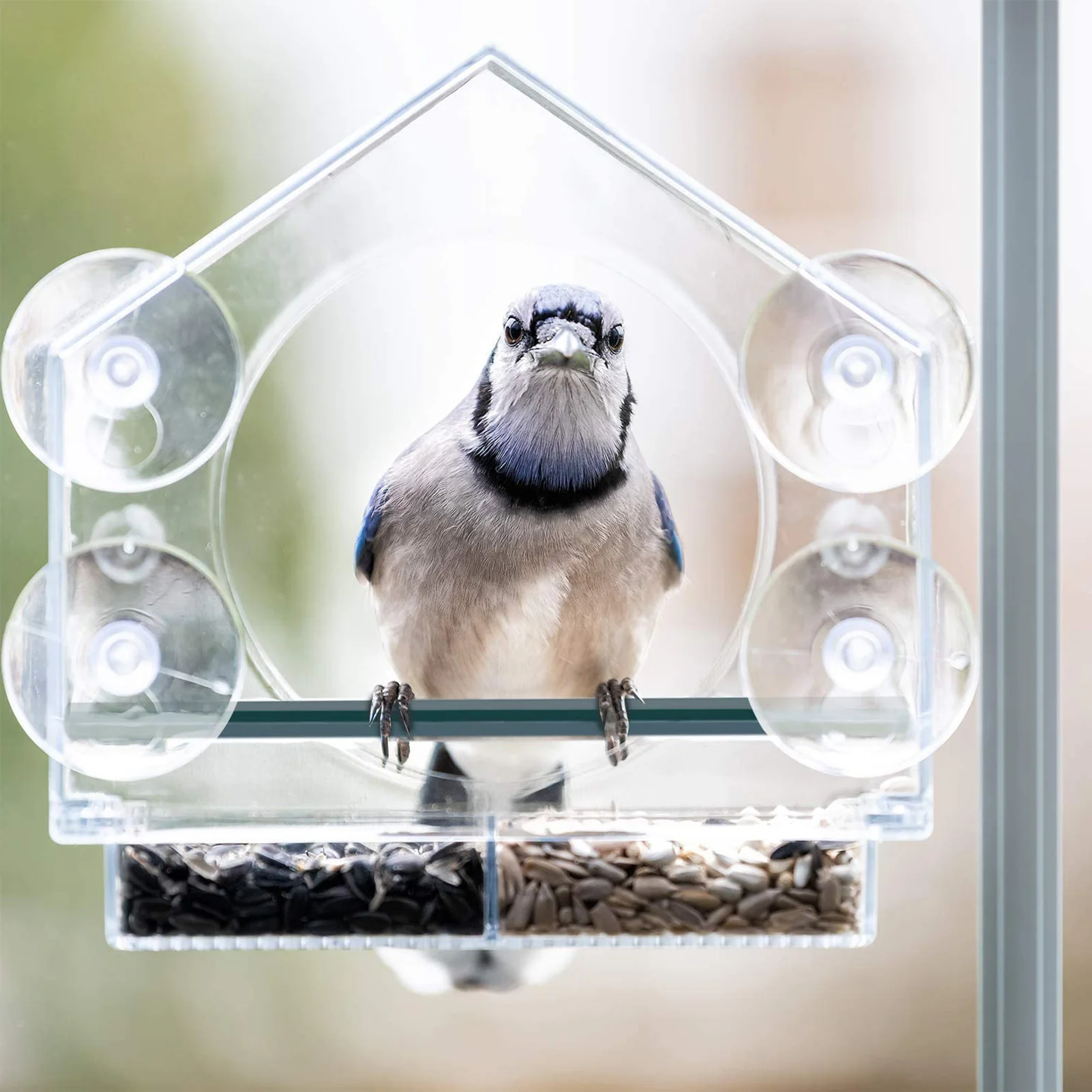 

Bird Feeder Acrylic Transparent Window Viewing Bird Feeders Tray Birdhouse Pet Water Feeder Suction Cup Mount House Type Feeder