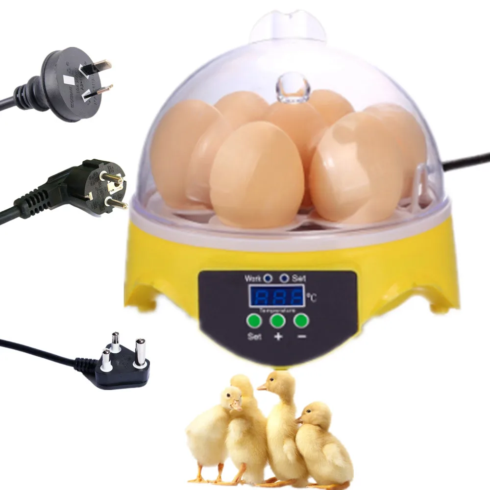 Chicken Duck Turkey Quail Goose Automatic Love Baby Bird Mini Egg Incubator For Sale | Laboratory Thermostatic Devices