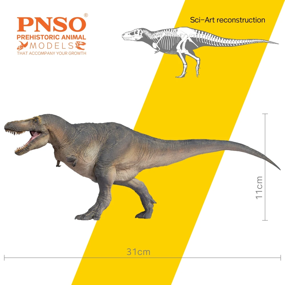 PNSO-dinosaurio preantiguo, modelos: 51, Chuanzi, Tarbosaurus-3