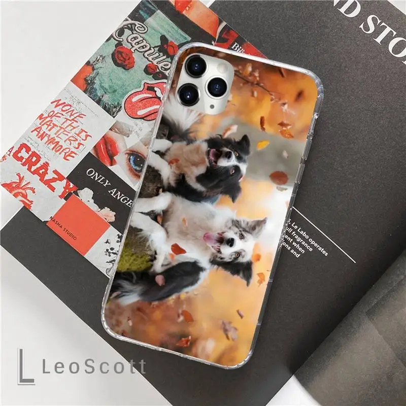 

Border Collie Dog Breed Phone Cases For iphone 12 5 5s 5c se 6 6s 7 8 plus x xs xr 11 pro max