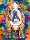 5D DIY наборы для алмазной живописи собака полный круглый бриллиант с AB Дрель Стразы искусство Алмазная вышивка Бриллиантовая мозаика с животным макет украшение дома