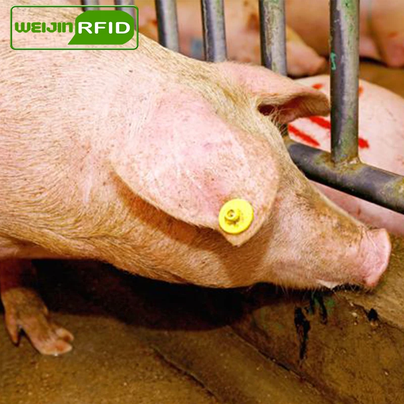 Радиочастотная метка для отслеживания ушей Идентификация животных EPC Gen2 915 м 868 860
