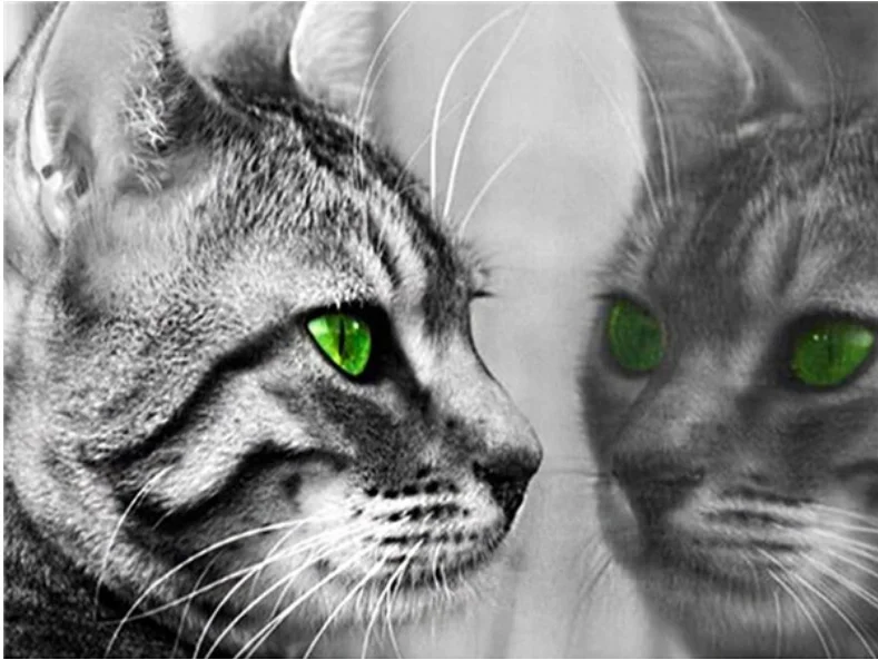 

5d Diy Diamond Painting Mosaic Cat Tiger Decor Diamond Embroidery Cross Stitch Animal Crystal Wall Sticker