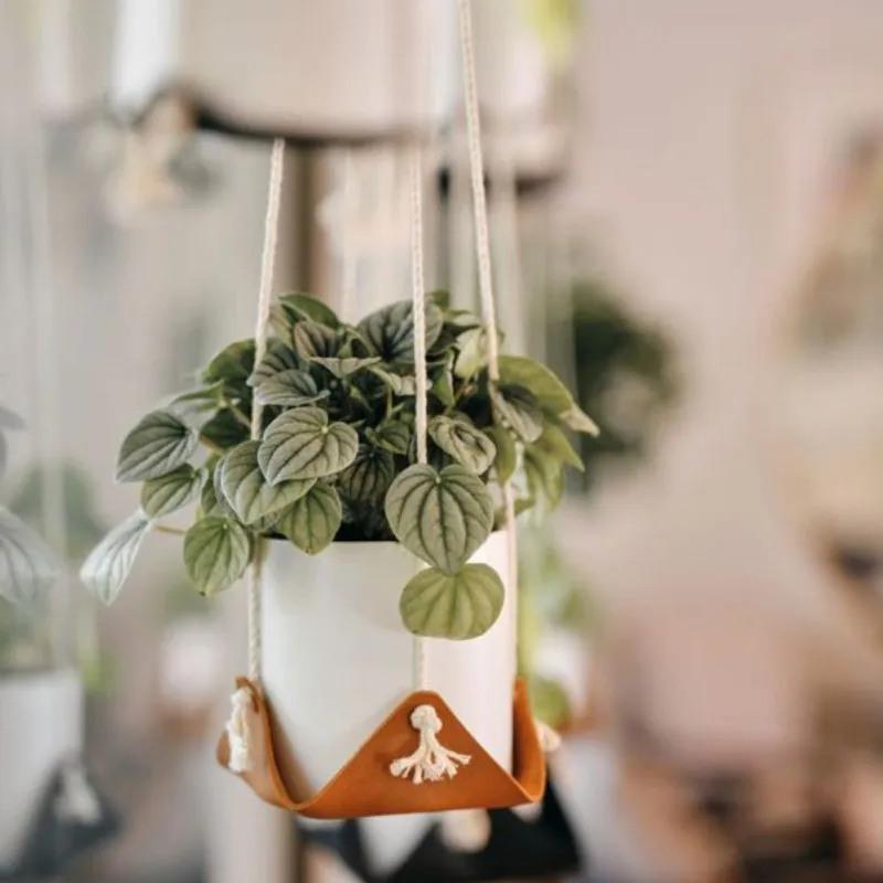 

Plant Hanging Leather Hangers Baskets For Succulent Flower Pots Stand Boho Plant Holder Indoor Outdoor Home Decor Flowerpot Hold