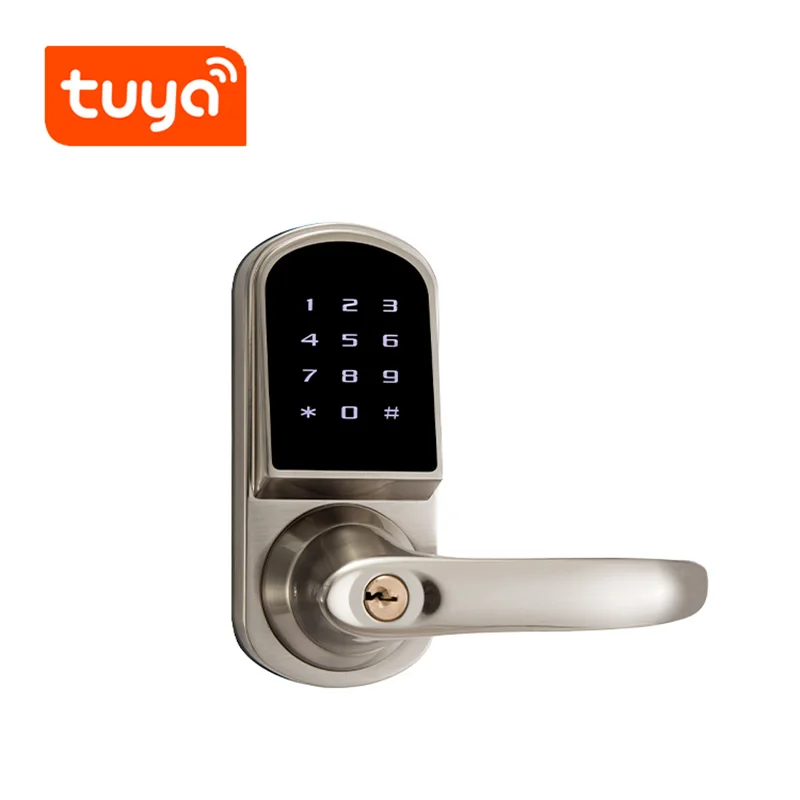 Tuya app smart lock wifi App waterproof button pincode Keypad electronic door remote control | Безопасность и защита