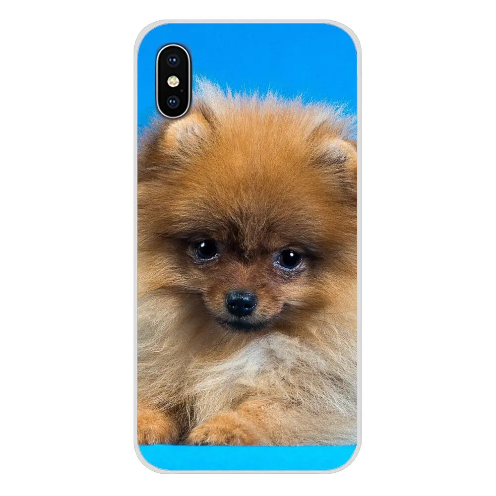 images 9 Pomeranian dogs для Apple IPhone X XR XS MAX 4 4s 5 5S 5C SE 6 6S 7 8 Plus ipod touch 5 6 Аксессуары чехлы для телефонов - Цвет: images 9